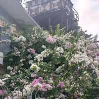 original sound - ♡ᥫ᭡   ᗰᗩY  ♡ᥫ᭡