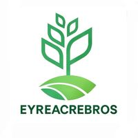 eyreacrebros8