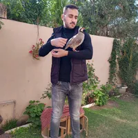 original sound - sirwan_gulle
