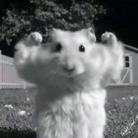 handx7.0