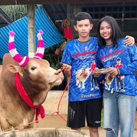 เสียงต้นฉบับ - ค่ายโคคมเพรชท่าพญา🐂💎