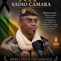 dembo_loup_officiel
