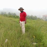 user26388678059533
