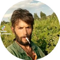 muratgigiz_