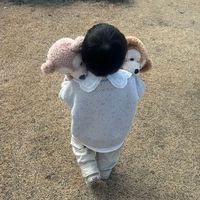 オリジナル楽曲 - おなすび