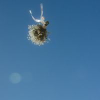 オリジナル楽曲 - な