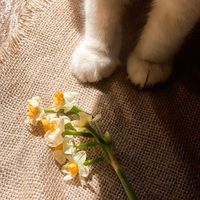 nhạc nền - Nhạc hay🎧