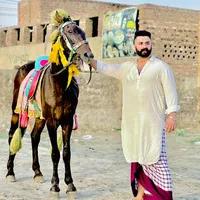 original sound - tahirrehmani_01