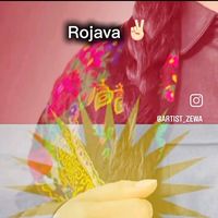 user5428528132977