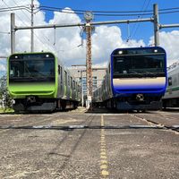 umanaymt7k5