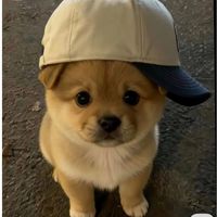 เสียงต้นฉบับ - รําไม่ตึง