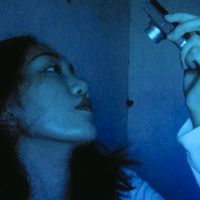 nelletoile
