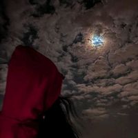 zzz_nnnh