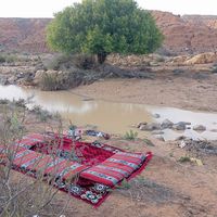 الصوت الأصلي