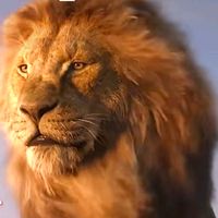 الصوت الأصلي