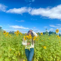 original sound - anishaphuldel