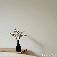 nhạc nền - Tolakoem280