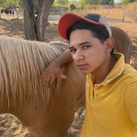 guelferro