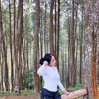 suara asli - gurdyivi*ೃ༄