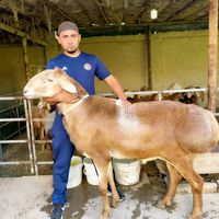 rahimov.azim