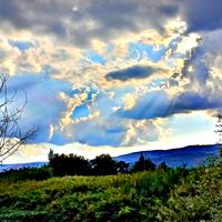 الصوت الأصلي