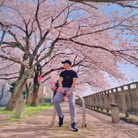 オリジナル楽曲 - Nhật ngữ Sagano