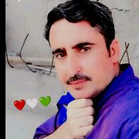 shaukatzalmi