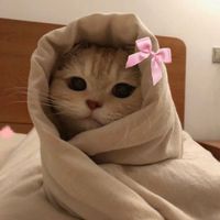 masha.mayaa