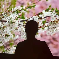 original sound - yy36959