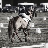 ginger.theponyequestrian