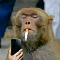 original sound - THE KHING😎1976