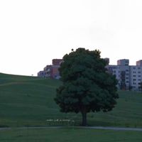 original sound - 寂しい sabishii ଽ🌳