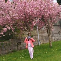 original sound - Saaifon❤️☘️🌻🌼🌈❤️