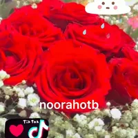 original sound - noorahotb