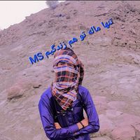 .msmohb