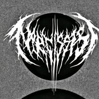 original sound - nags