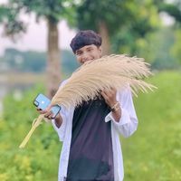 .mahedi9231