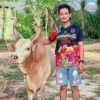 game_nattawut12345