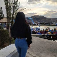 contenidos258