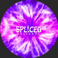 thespliceduniverse