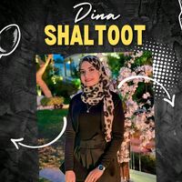 dina.shaltoot
