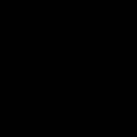 kasib900