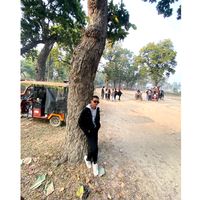 mohitmukhiya00