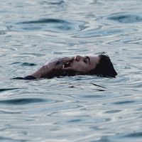 原声 - Crocodile,slippers store