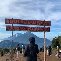 suara asli - elten paus