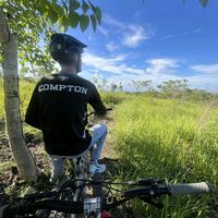 original sound - dan