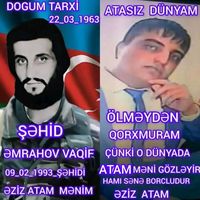 orijinal ses