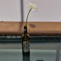 zodazuza