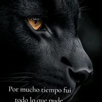evelyngutierrezaq0