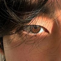 princess_writer6